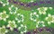 1 Pieces Plumeria Double Border Polyester Sarong, Tropical Beach Wrap 70" x 44.5"